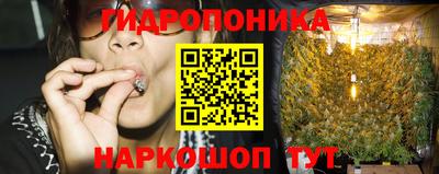 соль ск Дубна