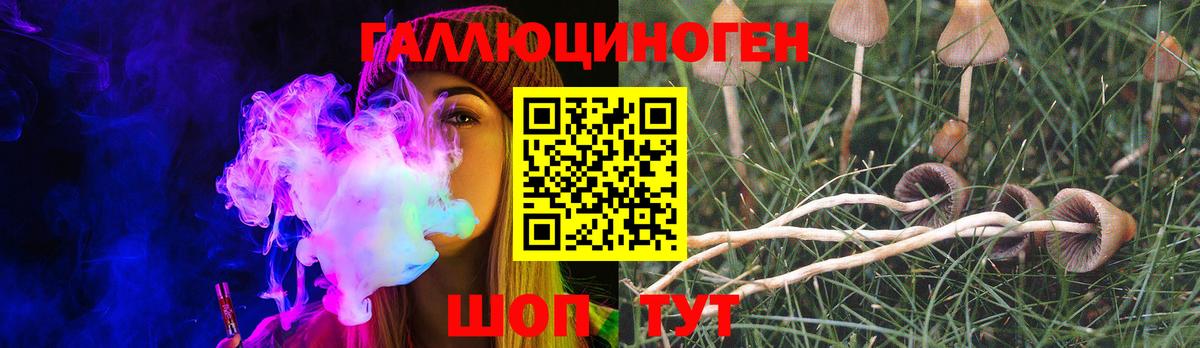 Галлюциногенные грибы Psilocybe Надым